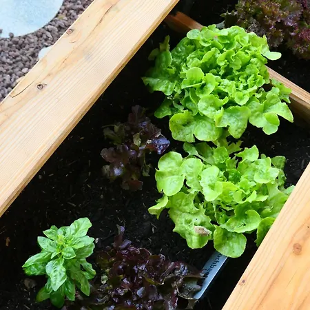 アパート Wanna Rise