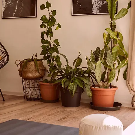 Appartement Wanna Rise