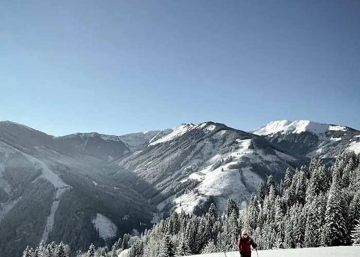 Apartment Wanna Rise